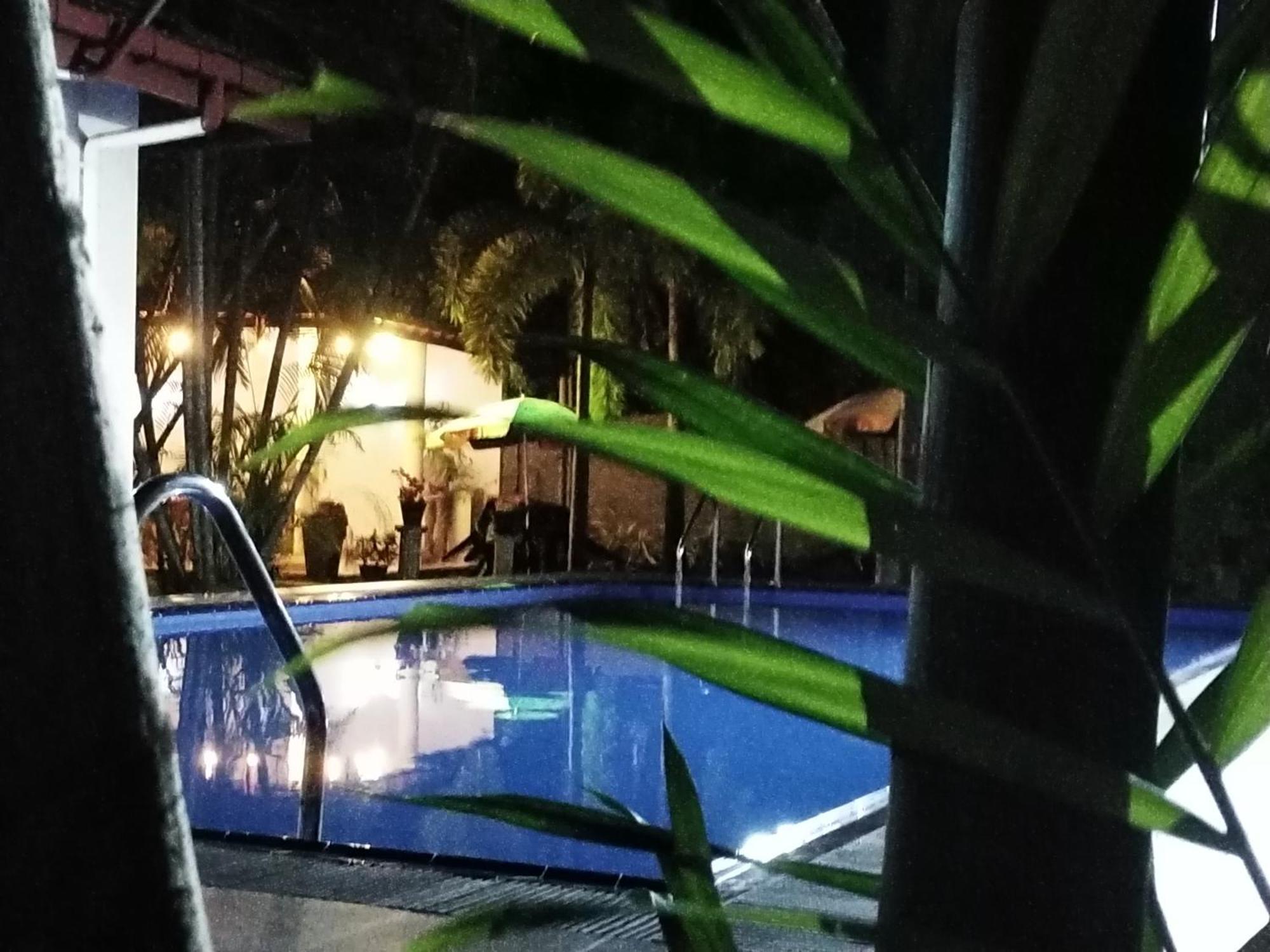 Blue Bell Hotel ネゴンボ エクステリア 写真